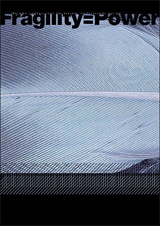 fragility004